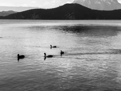 SlotoCash Kasino Apl Mudah Alih